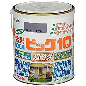 ATqy rbO10pr 1.6L 245X[gO[ - [665-592347]