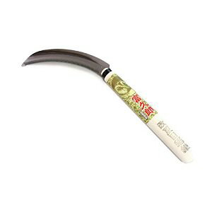  OWL ӂ낤 ǖڋ #127 [706-331661]