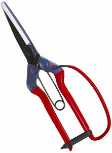 ߐ `J}T  ےnolEK[ht T-700G [708-011708]