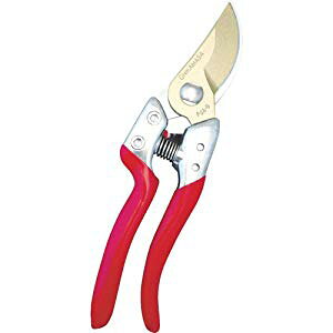 ߐ `J}T PSA-G8 EgG8  PSA-G8 [708-131215]