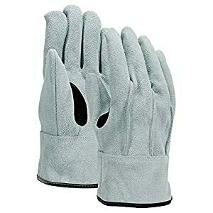 ӂ ӂ v V Aet L K-492-L [711-001668]