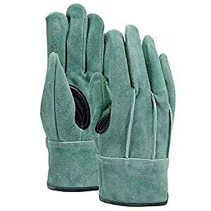 ӂ ӂ ICv V Aet L K-495-L [711-001729]