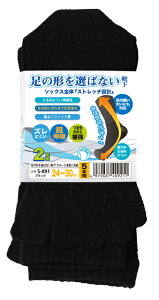 �����ӂ���� S-891�I�΂Ȃ��C���N���[5�{�w2P D�D - [711-409211]