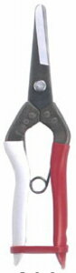 P ʔK  #306 [713-306005]