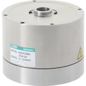 CKD ylsz yLZszAu\fbNXAX6000MV[Yi{́AhCoAP[uj AX6003MU-DM02-U0 [742-00413849]