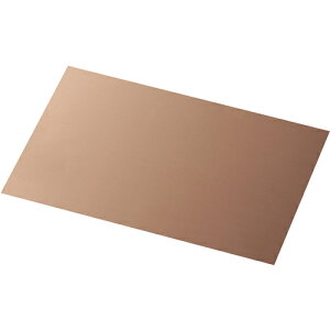 c쏊 IWATA Vv[gCU TC100-250-04 [806-095748]