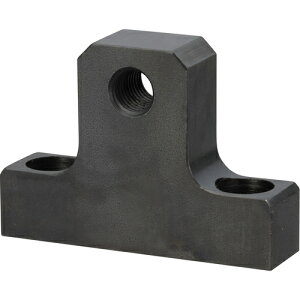 c쏊 IWATA jAXgbp[ʒuߗp LSCN-10N [806-123021]