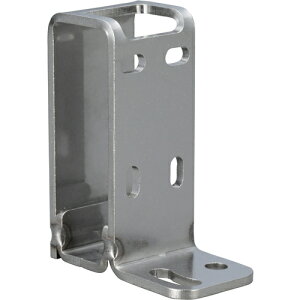 ��c���쏊 IWATA ���d�Z���T�p�u���P�b�g FSCZCX040-S [806-100954]