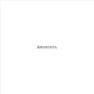 �^�C�J Taica 1691001 NP�Q�� �ΐF 450mmX2000mmX3mm NP-T3 [830-312648]