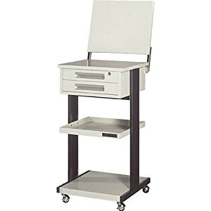 _CH yʓrz ylsz MECHANICS [LOfXN WD-100S WD-100S [869-901074]