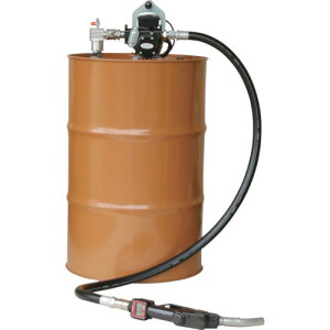 ANA ylsz ANAVXe I[gmYEʌvdh|vi100Vj  y EVPD-56K24ATN [883-721286]