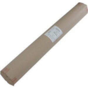 �A�h�R�[�g �A�h�p�b�N �y�l��s�z�h�K���i�����S�|�p���[���jTK-810�iM�j1mX100m�� AAATK8M1000100 [887-370141]
