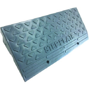 �A���I �X�e�b�v�v���[�g �{�� �iSP-10G�j AR-4090 [891-00000259]