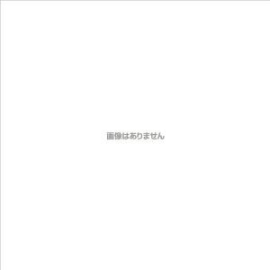 �V���G�C �y�ʓr�����z �y�l��s�z ���[�����O�x�[�XPG44R A1�T�C�Y �p�b�N�V�[�g�t �V���o�[ RB-A1AGP [990-726893]