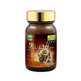 黒しょうが21世紀栄養補助食品 30g(250mg×120粒)