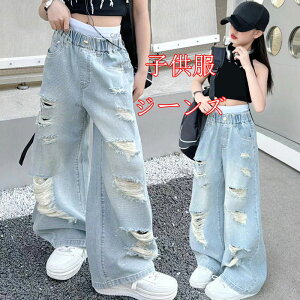  LbY q W[Y fjpc̎q Y{ _[W W[Y fjpc n ǂ ̎q fjpc JWApc WjA XLj[pc fjp