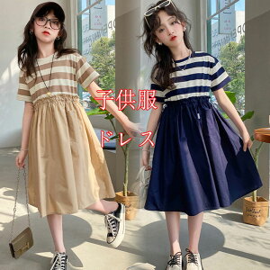 qhX s[X ̎q hX s[X w q hX ̎q I[KW[vZXhX WjA LbY hX  tH[} s[X ؍ q hX s