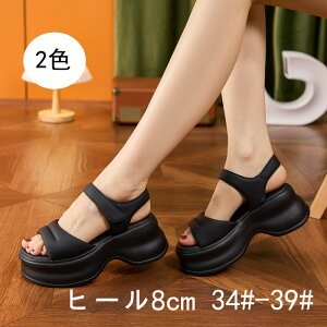 T_ 8cm  q[ fB[X ₷ Sn悢 X|[cT_  X|[cT_ T_ 傫TCY tbg ₷  AEghA  w Cx