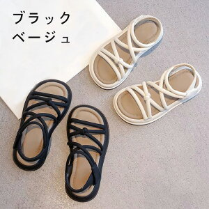 qT_  q T_ LbY@T_ ̎q T_ ̎qT_  T_ tH[} \ o ʉ ʊw _qV[Y qpT_ q