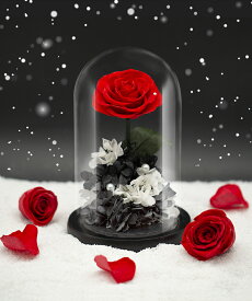 【母の日のプレゼント】【送料無料】プリザーブドフラワー 　ガラスドーム　レッド　プロポーズ　母の日　お花　バレンタインデー　結婚祝い　記念日　ホワイトデー　ギフトボックス付き LEDライト付き　メッセージカード