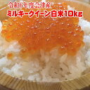 米10kg ミルキークイーン【こだわり精米】 送料無料 令和6年 福島県 会津産 白米 (5kg×2) 【あす楽対応_東北】【あす楽対応_関東】【楽ギフ】【RCP】sふくしまプライド。体感キャンペーン
