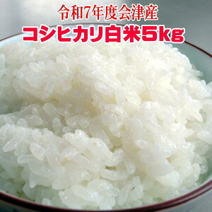 V 5kg RVqJ  ߘa7NY  ÎY yyΉ_kzyyΉ_֓zyyMtzyRCPzsӂ܃vChB̊Ly[