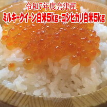楽天市場】福島県産 コシヒカリ10kg 送料無料の通販