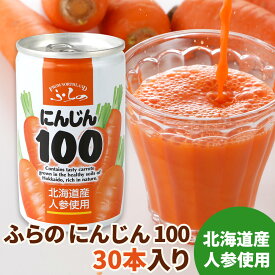 【メーカー公式店】【送料無料】ふらの　にんじん100　160g×3本~60本　富良野 / にんじんジュース / マルハニチロ北日本 / ふらの / 北海道 / レビュー / 特典 / キャンペーン / 敬老の日 / 野菜ジュース / お歳暮/ お正月 / クリスマス