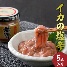 【メーカー公式店】いかの塩辛　若造り 　120g×5本　お歳暮 / 通販限定 / イカ / 烏賊 / マルハニチロ北日本 / あけぼの / 北海道 / いか塩辛