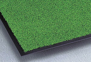 ŉ𗎂ƂX^_[hȑ@ۃ}bgj[grA@450×750mm