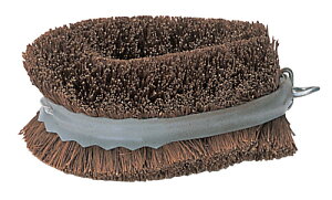 ͂˂ɂVRfނ̃^VSnQ͂˂Ȃ킵@^