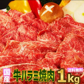 【送料無料 熨斗無料】国産牛 ハラミ 焼肉 用 1kg 味付【250g×4】お正月 4人〜6人前 BBQ用 柔らかい 美味しい 国産牛 焼肉用 1kg 激安 子供 お誕生日 お祝い お弁当 おかずに激安 格安 訳あり商品 お徳用 お土産 お中元 お歳暮 御礼 の1品に。