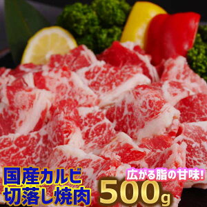  Y Jr؂藎Ƃētioj500gy250g×2z3l`4lO  Y o[xL[p zbgv[g ē q ٓ ,a j  wj