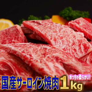 y lz IY | T[C ē t1kgy250g×4z 4l~6lO ̓v[g Lv BBQp t@~Zbg p   󂠂菤i  a 