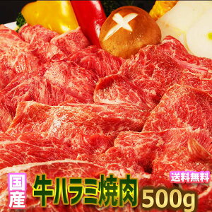 yYz Y | Yn~ ē t 500gy250g×2z2l`3lO nEB[ v[g BBQ p  ͂ ē p zbgv[g ē ٓ  i  