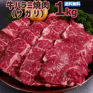 送料無料！肉 味無し 牛 ハラミ 焼肉 1kg (サガリ) 4人〜6人前 母の日 プレゼント 入社祝 入学祝 春の土…