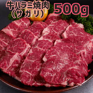  t  n~ ēiTK) 500gi500g×1Pj4l`6lO ͂݁@o[xL[p  zbgv[g ē1kg  p ٓ  yY  󂠂 i K