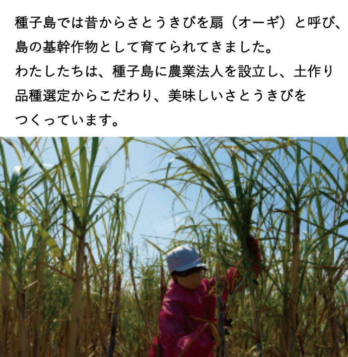 楽天市場 送料無料 種子島 砂糖 種扇糖 たねおうぎとう さとうきび糖 きび糖 3kg 国産 大東製糖種子島ショップ