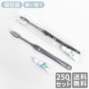 uV ĝ Ɩp Y 28iX[Nj3.5g`[ut 250{ OP   ܂Ƃߔ i AjeB ze   { h{ q hД~ TEi o