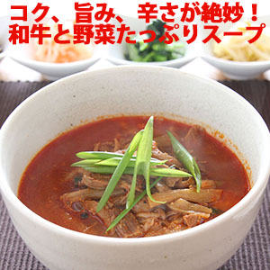博多 ユッケジャン 450ｇ（約2人前） ／ 和牛 野菜たっぷり スープ 旨みと辛さが絶妙 湯煎 簡単 冷凍