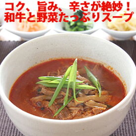 博多 ユッケジャン 450g（約2人前） ／ 和牛 野菜たっぷり スープ 旨みと辛さが絶妙 湯煎 簡単 冷凍
