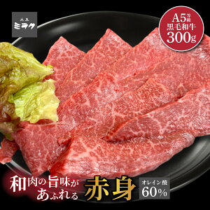 ēI A5Nјa a̎|Ԑg300g  Ε 蕨 Mtg ̓  ē