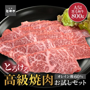 ēI A5Nјa ēZbgv800g  Ε 蕨 Mtg ̓  ē