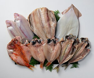 y̏\z銱l (FI-100) Mtg k ΐ X CY N[ Ⓚ