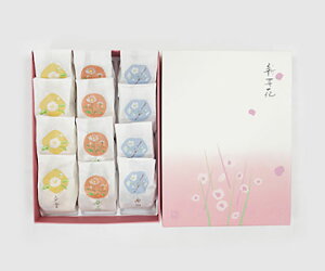 yďMozVى12 Mtg k ΐ  aَq