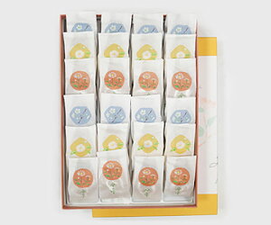 yďMozVى24 Mtg k ΐ  aَq