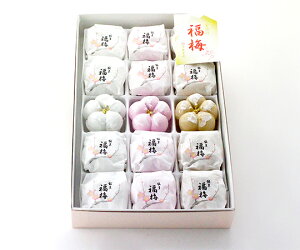 yz~ 15 Mtg k ΐ  Gߌ aَq l