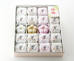 yz~ 20 Mtg k ΐ  Gߌ aَq l