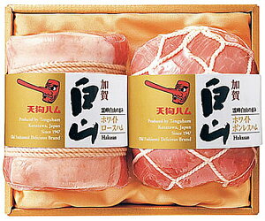 yVnzꔒRl (GW-52) Mtg k ΐ X N[ ①