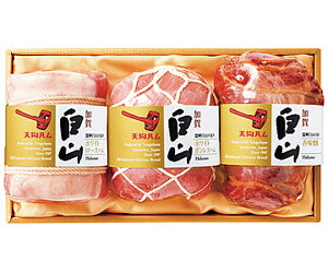 yVnzꔒRl (GW-70) Mtg k ΐ X N[ ①